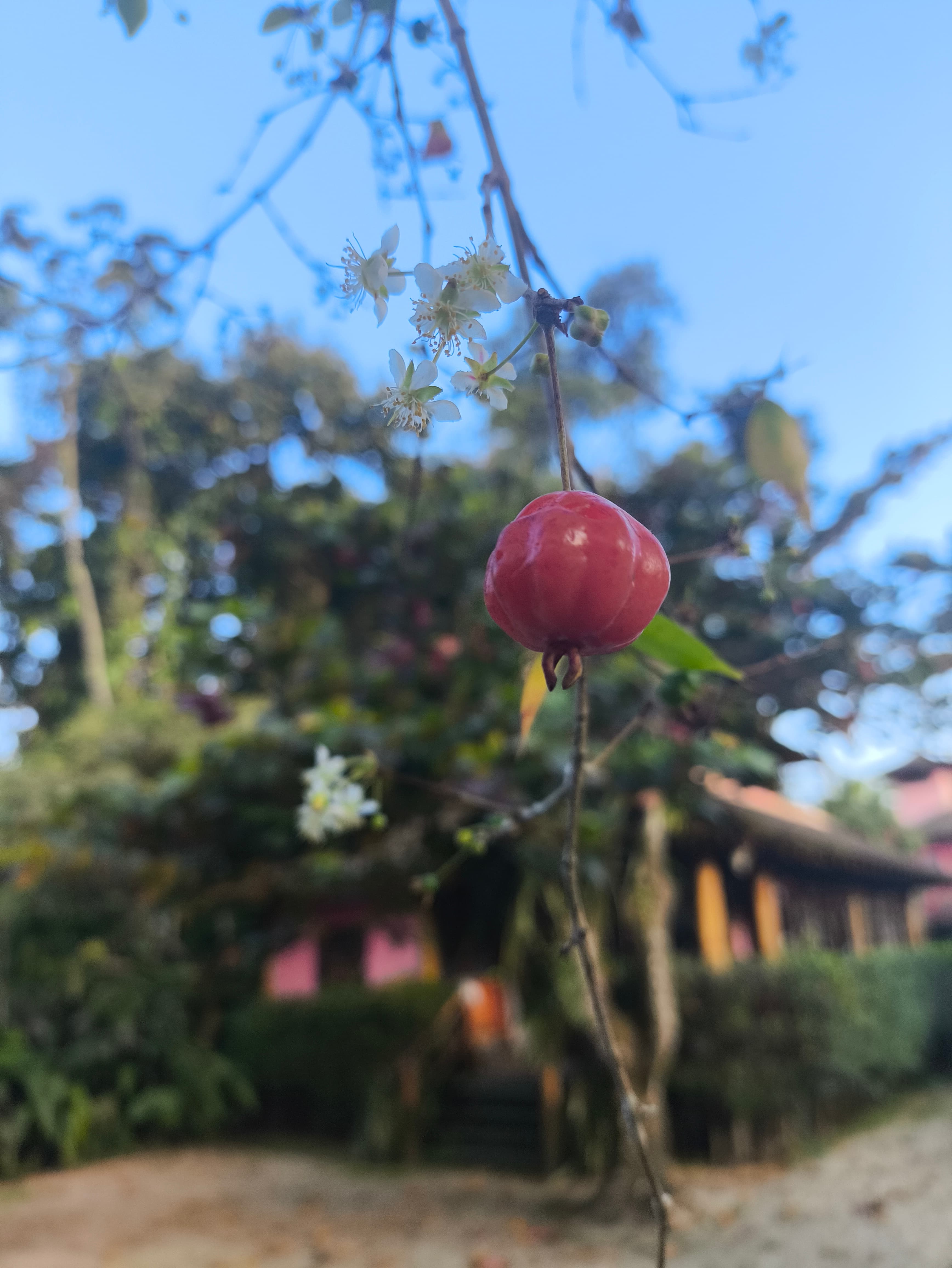 Foto 3 da Thai Pousada